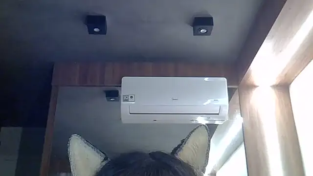 Skinny-Kitten online show from 06-26-26, 11:36