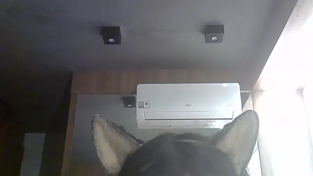 Skinny-Kitten online show from 06-27-26, 01:28