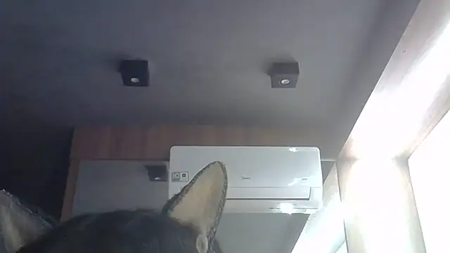 Skinny-Kitten online show from 06-28-26, 01:33
