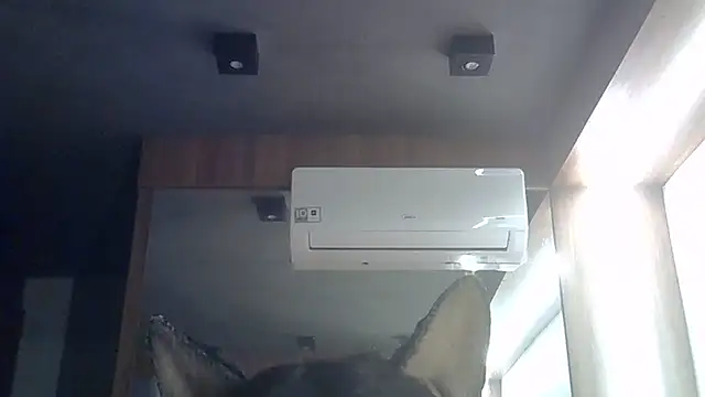 Skinny-Kitten online show from 06-28-26, 01:39