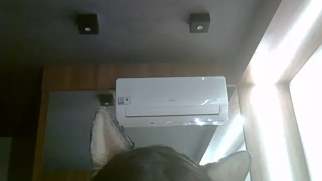 Skinny-Kitten online show from 07-05-26, 06:04