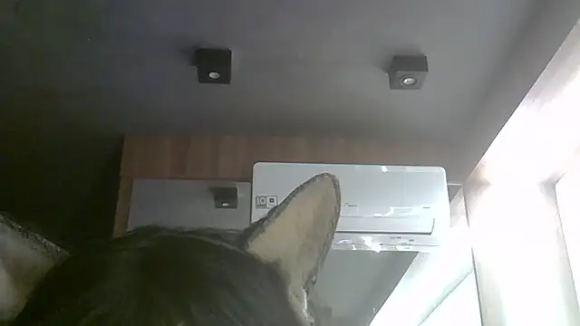 Skinny-Kitten online show from 07-06-26, 05:37