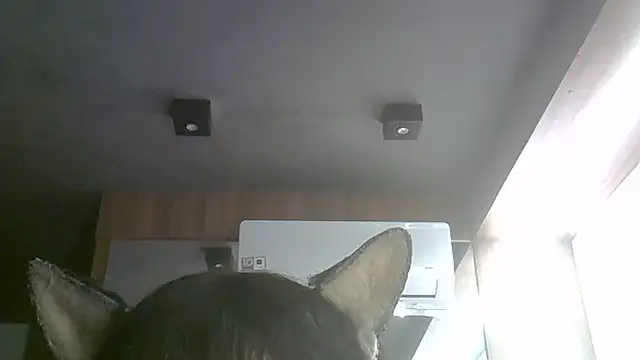 Skinny-Kitten online show from 07-09-26, 09:35