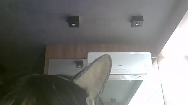 Skinny-Kitten online show from 07-11-26, 11:35