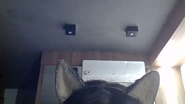 Skinny-Kitten online show from 07-12-26, 07:43