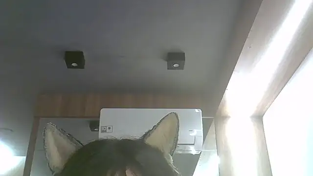 Skinny-Kitten online show from 07-17-26, 11:53