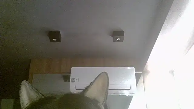 Skinny-Kitten online show from 07-19-26, 07:12