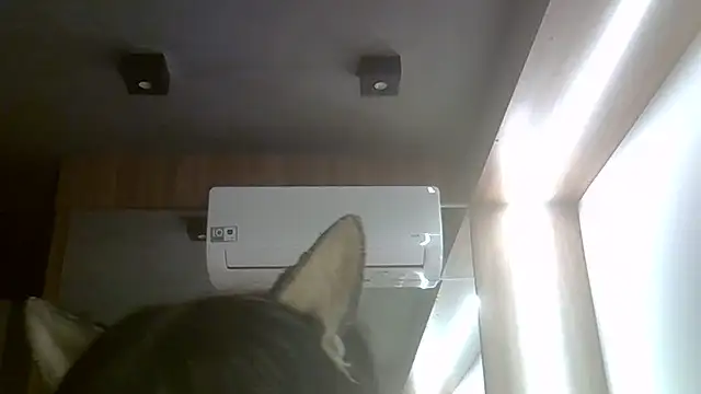 Skinny-Kitten online show from 07-20-26, 11:45