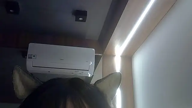 Skinny-Kitten online show from 07-20-26, 11:51
