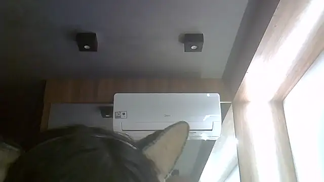 Skinny-Kitten online show from 07-21-26, 04:09
