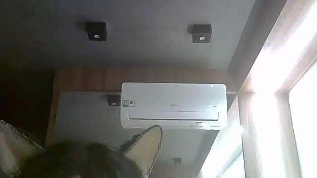 Skinny-Kitten online show from 07-24-26, 04:10