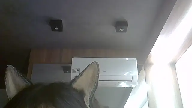Skinny-Kitten online show from 07-28-26, 05:25