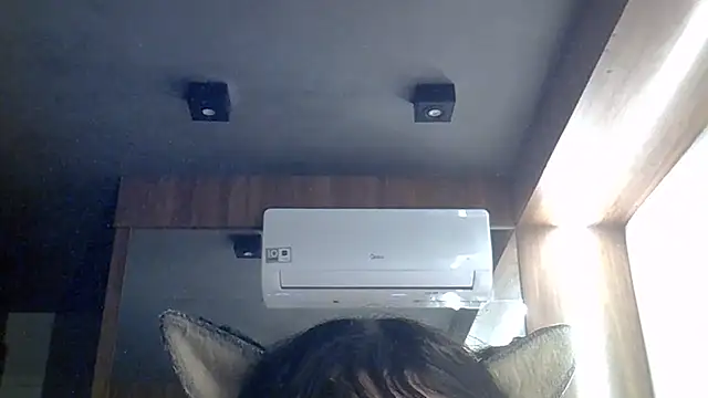 Skinny-Kitten online show from 07-28-26, 06:20