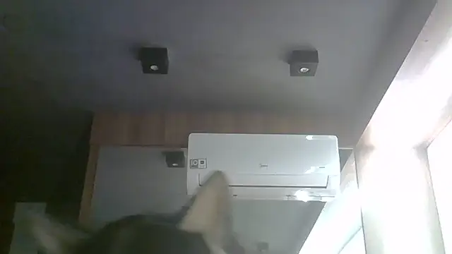 Skinny-Kitten online show from 07-30-26, 01:26