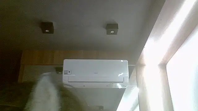 Skinny-Kitten online show from 07-31-26, 04:39