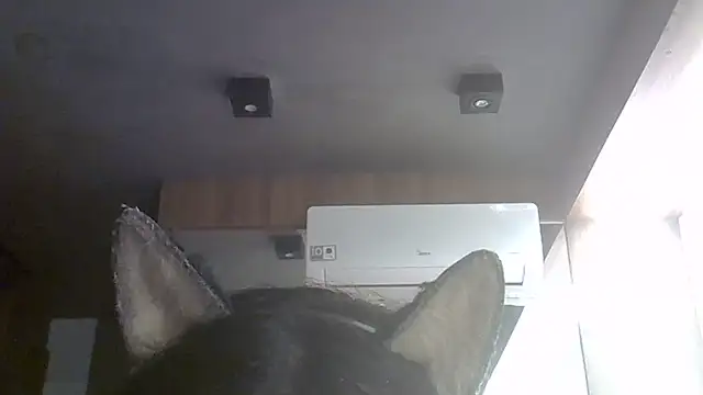 Skinny-Kitten online show from 08-01-26, 10:36