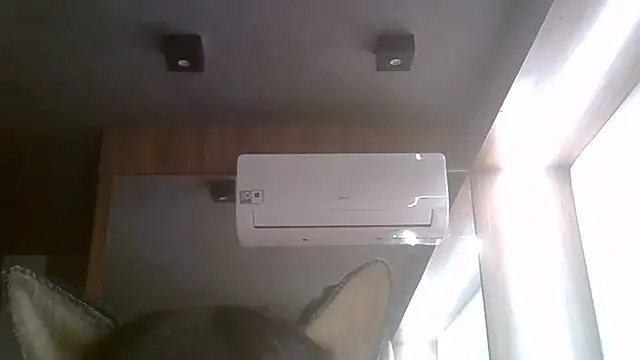 Skinny-Kitten online show from 08-03-26, 03:49