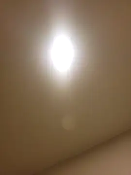 Snapshot of lofibunni chatting on 02-14-26, 12:46 lofibunni online show from 02-14-26, 12:46