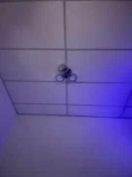 Charly  online show from 11-16-25, 05:46