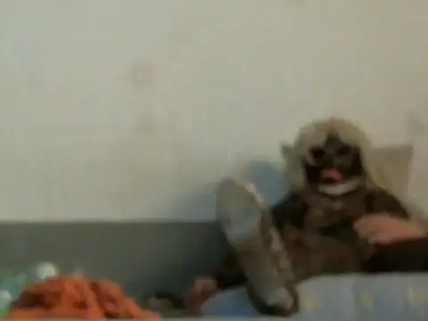 Snapshot of qwer1234 chatting on 03-05-26, 05:47 qwer1234 online show from 03-05-26, 05:47