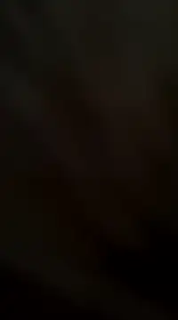 ft2022W online show from 02-02-25, 05:37