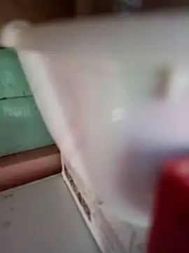 Snapshot of Rayito6969@xh chatting on 02-05-26, 03:38 Rayito6969xh online show from 02-05-26, 03:38