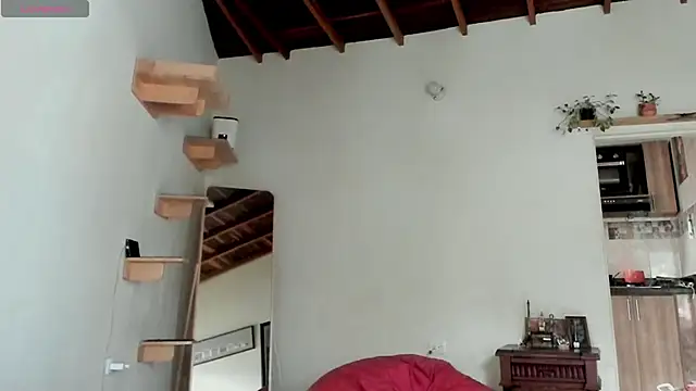 Rainbow leia online show from 02-21-26, 07:26