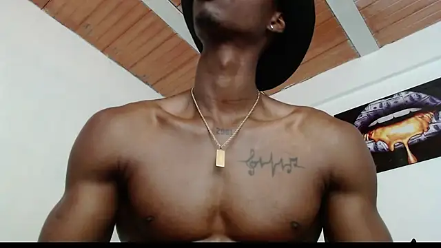 drake brwon 23 online show from 01-26-25, 03:03