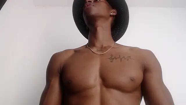 drake brwon 23 online show from 02-11-26, 06:29