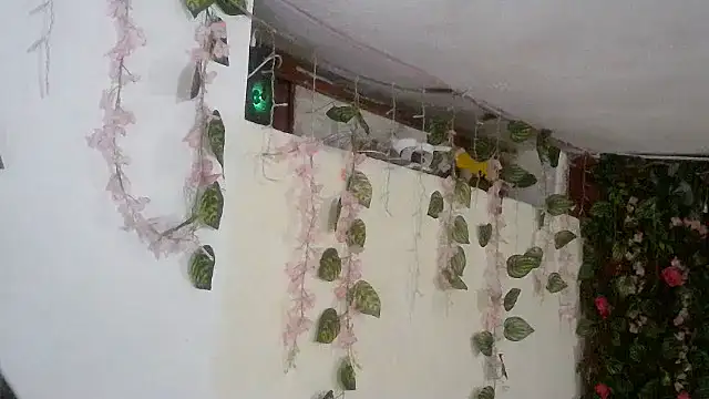 emmafox ls online show from 11-02-25, 11:29