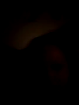 Cumslutsnowbunnie69 online show from 12-22-25, 07:16