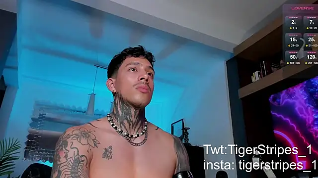 TigerStripes1  online show from 02-12-25, 12:05