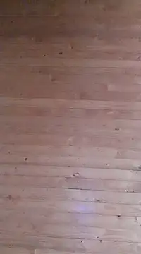 Snapshot of aliosa23 chatting on 01-21-25, 11:35 aliosa23 online show from 01-21-25, 11:35