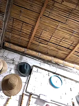 Snapshot of kvr27 chatting on 11-03-25, 11:00 kvr27 online show from 11-03-25, 11:00