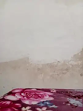 09punjabi online show from 12-19-24, 11:07