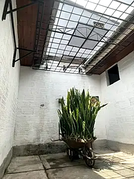 oliver price1 online show from 10-06-25, 04:04