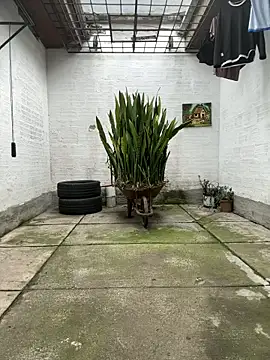 oliver price1 online show from 11-13-25, 09:14