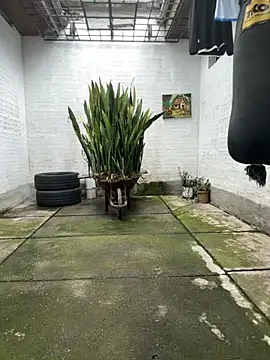 oliver price1 online show from 11-16-25, 08:03