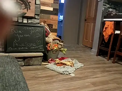 Snapshot of Donglong80 chatting on 11-25-25, 12:05 Donglong80 online show from 11-25-25, 12:05