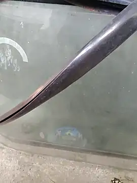 Kolkata   Boy online show from 02-02-25, 08:46