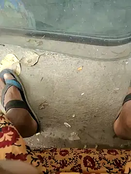 Kolkata   Boy online show from 02-09-25, 08:22